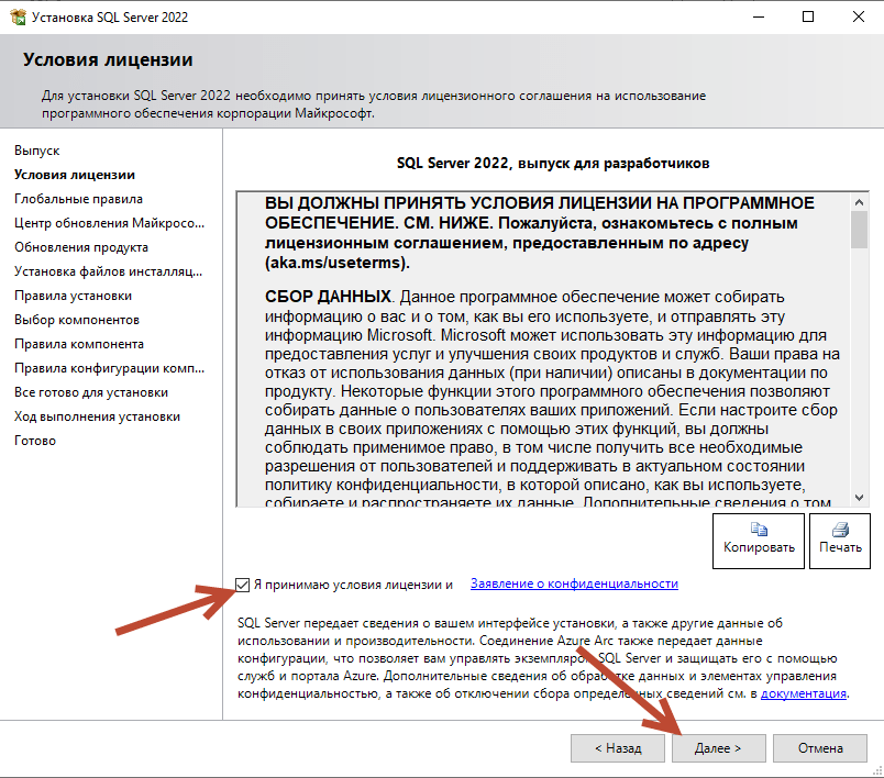 Принимаем лицензионное соглашение ms sql 2022